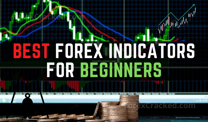 Which is the best Telegram channel for forex?